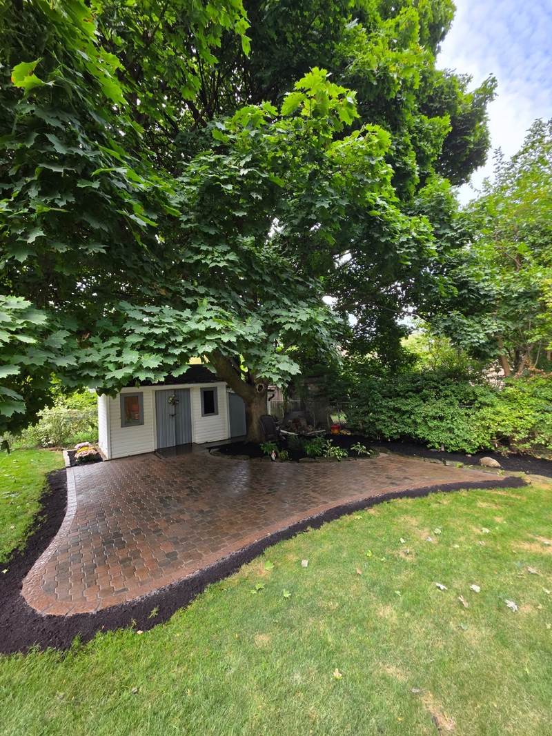 Curved interlock patio beside a mulch border beneath a maple tree