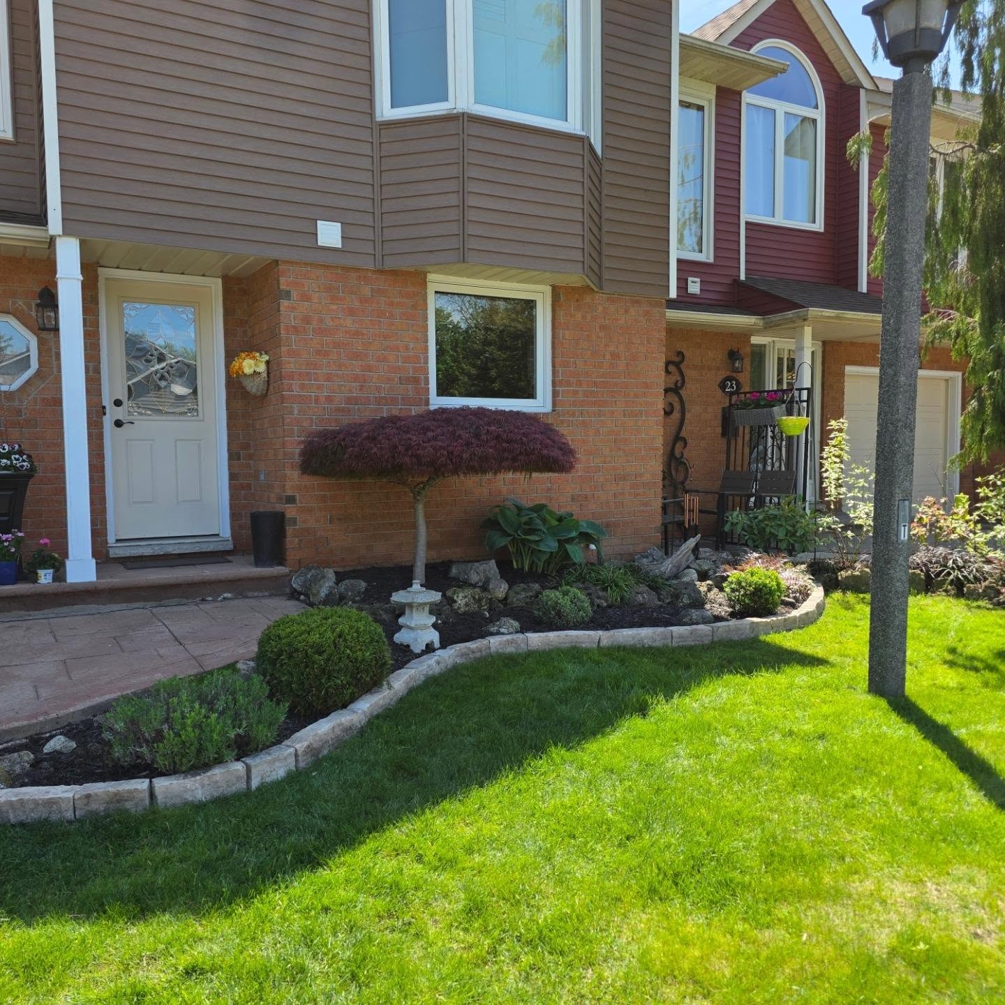 Garden bed with a Japanese maple, rockery and stone edging along a curved front walkway